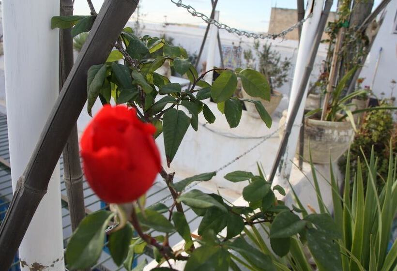 پانسیون Dar Hassine Allani