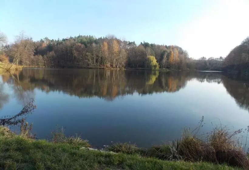 پانسیون Ubytovani U švýcarů