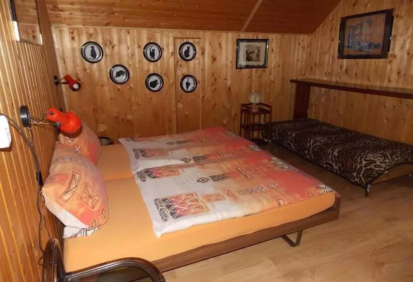 پانسیون Ubytovani U švýcarů