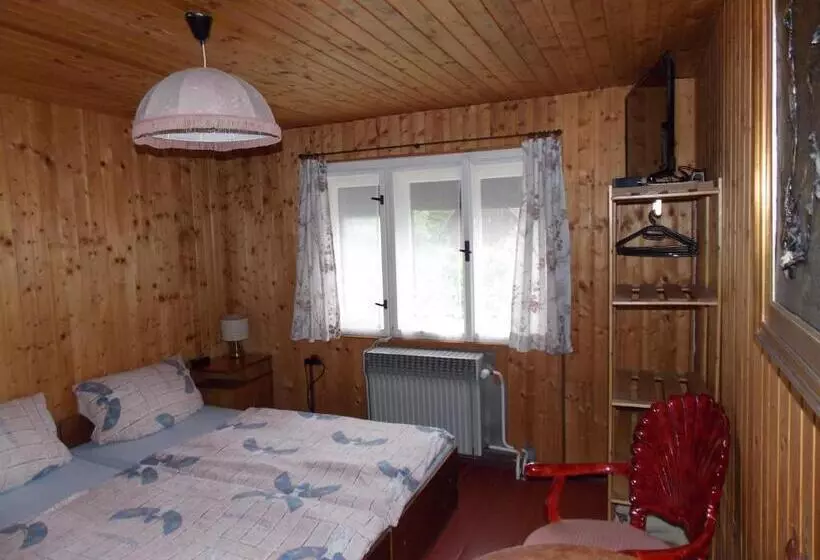 پانسیون Ubytovani U švýcarů
