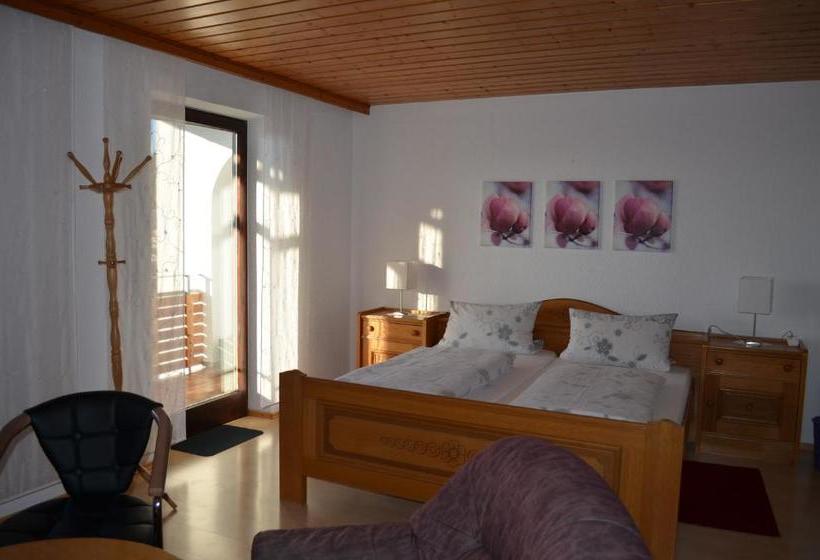 بنسيون Gästehaus Haller