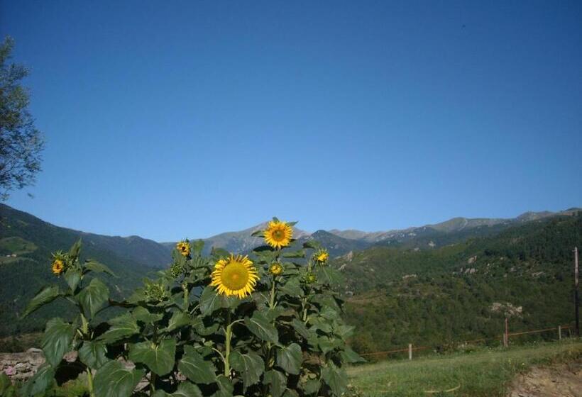 פנסיון Mas Taillet Maison D Hôtes