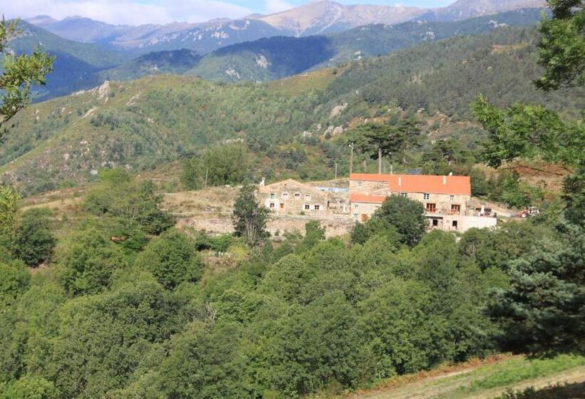 פנסיון Mas Taillet Maison D Hôtes