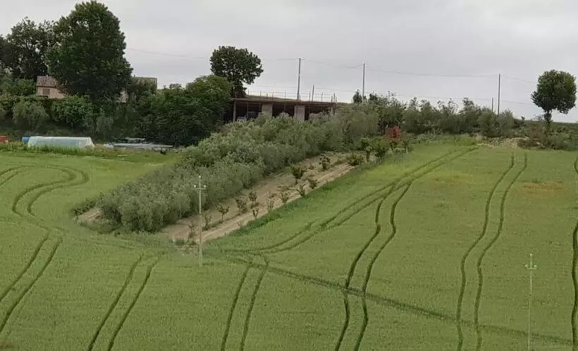 ホテル Il Vecchio Pioppo