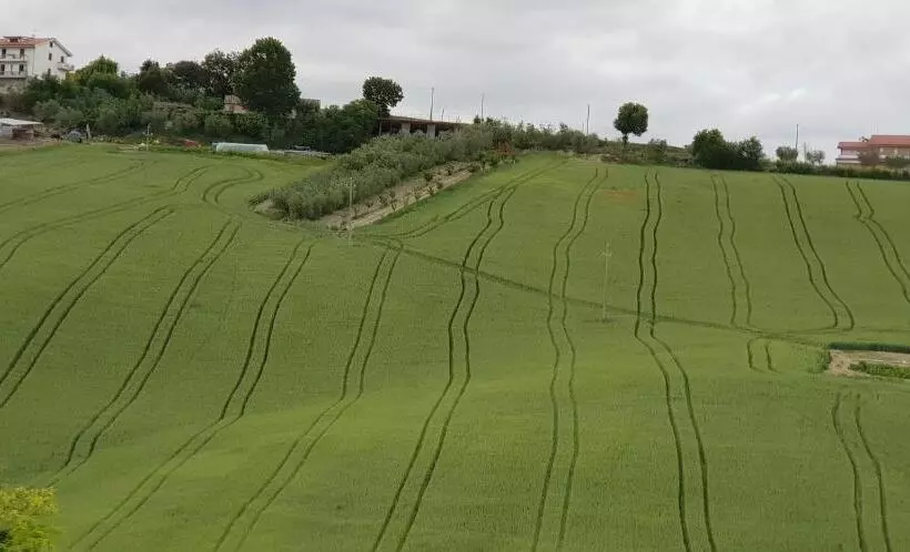 ホテル Il Vecchio Pioppo