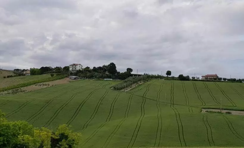 ホテル Il Vecchio Pioppo