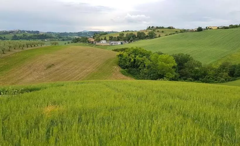 ホテル Il Vecchio Pioppo