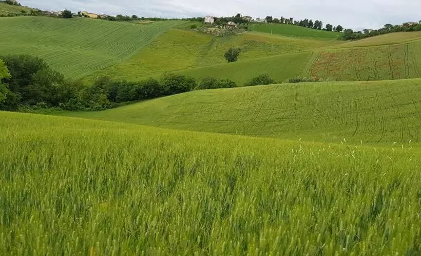 ホテル Il Vecchio Pioppo