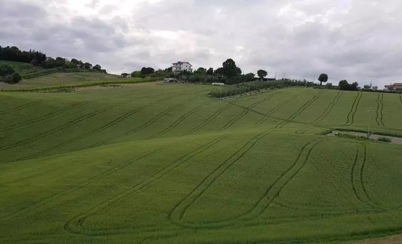 ホテル Il Vecchio Pioppo