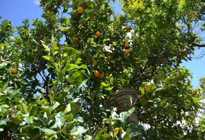 Пансион El Escudo De Calatrava