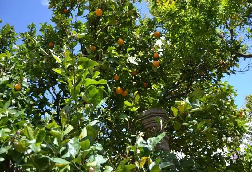 Majatalo El Escudo De Calatrava