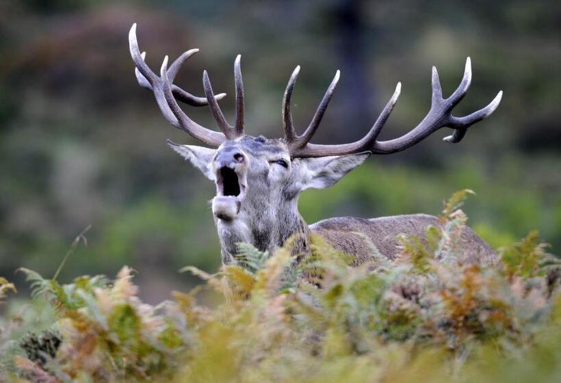 Пансион El Escudo De Calatrava