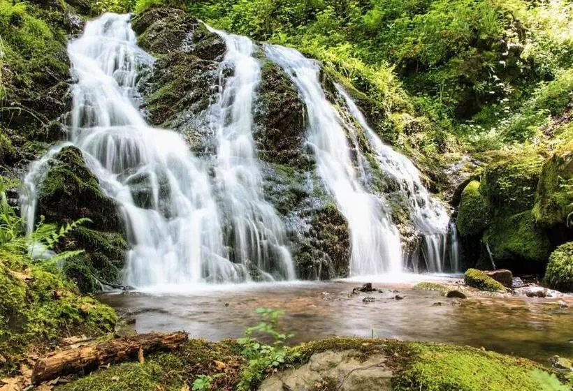Majatalo Paradies Im Schwarzwald