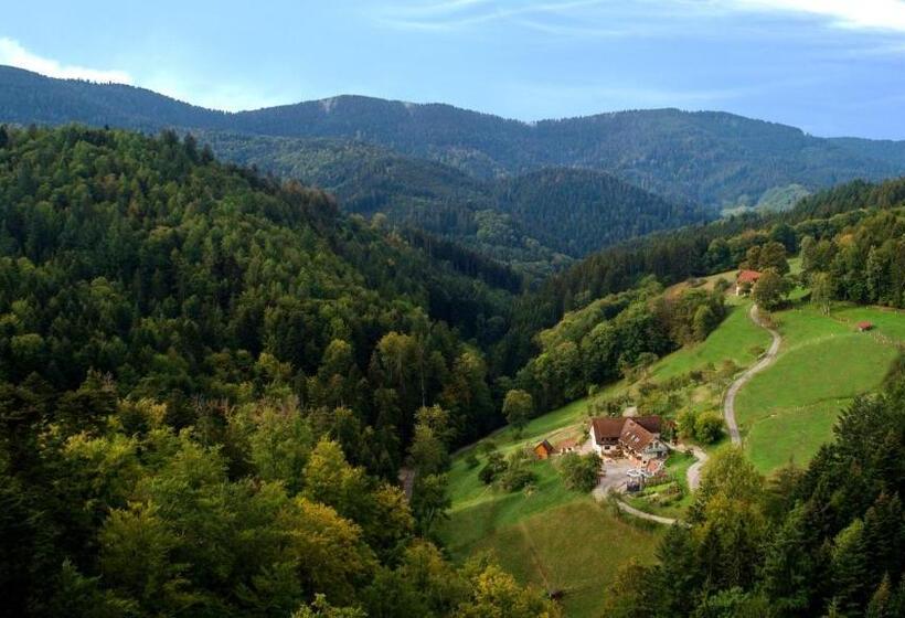 פנסיון Paradies Im Schwarzwald