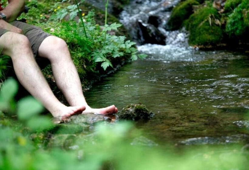 פנסיון Paradies Im Schwarzwald