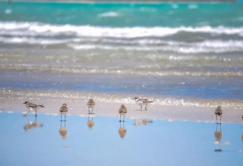Majatalo Pousada Marceneiro