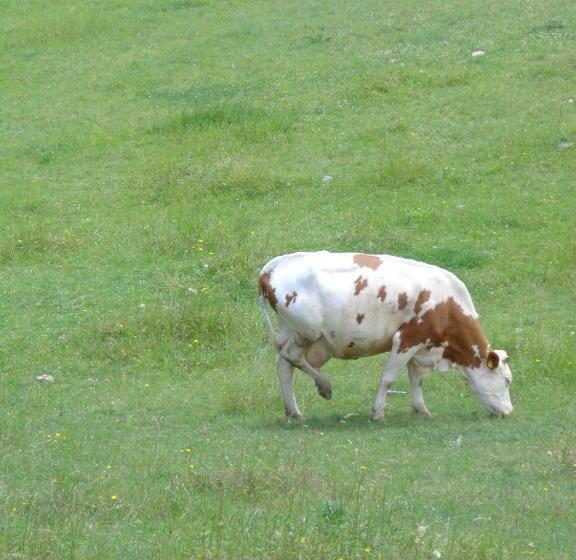 Hotelli Agriturismo Le Prata