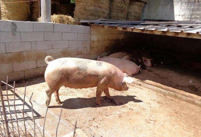 Hotelli Agriturismo Le Prata