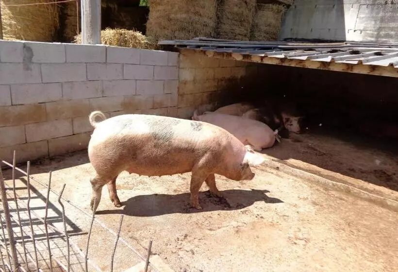 هتل Agriturismo Le Prata