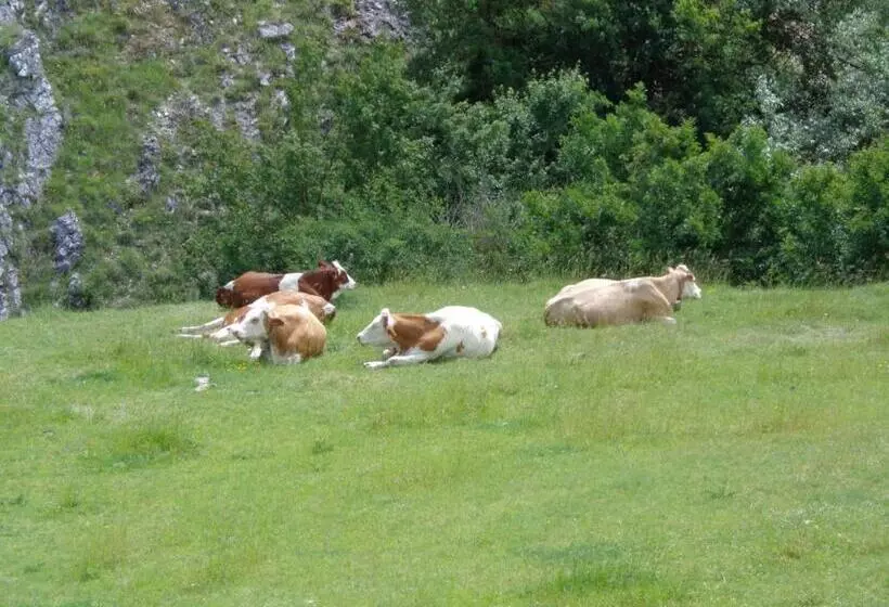 هتل Agriturismo Le Prata