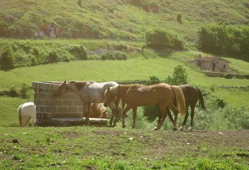 هتل Agriturismo Le Prata