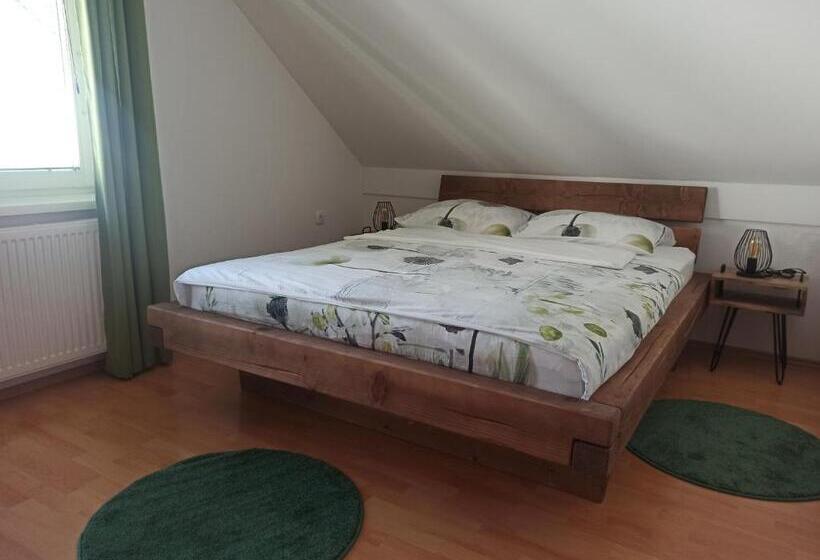 פנסיון Apartments Skok