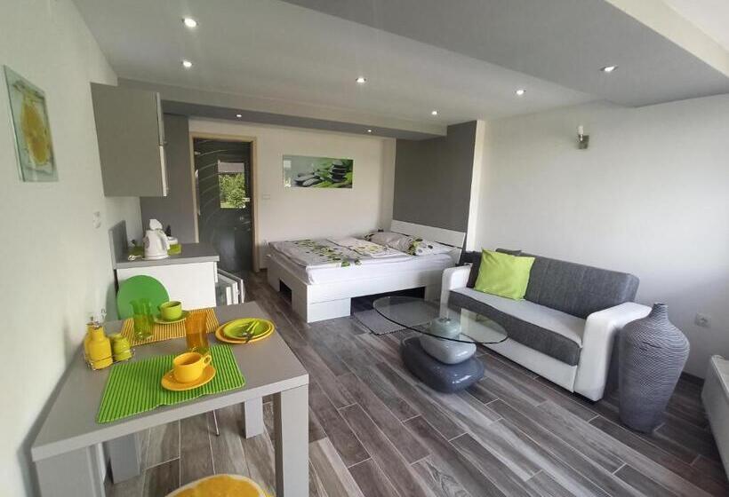 פנסיון Apartments Skok