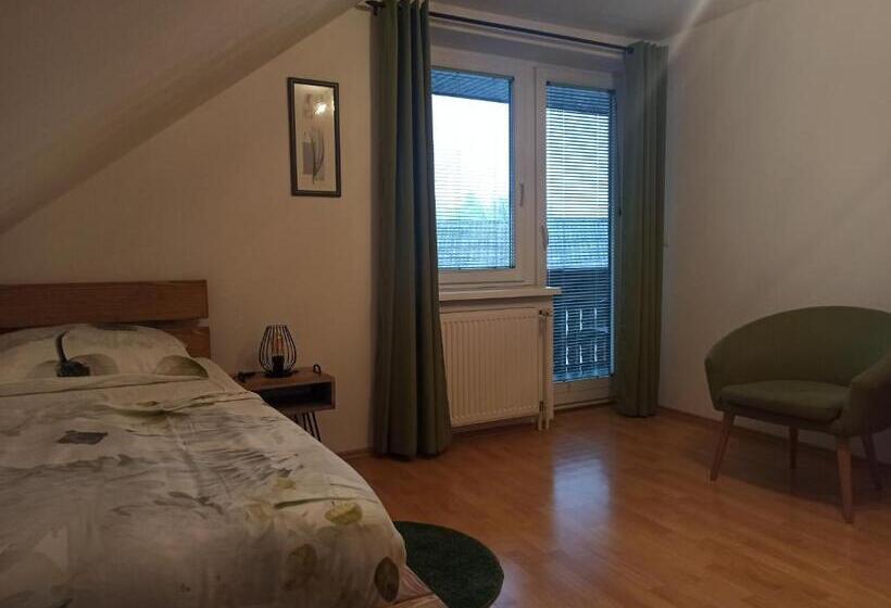 פנסיון Apartments Skok