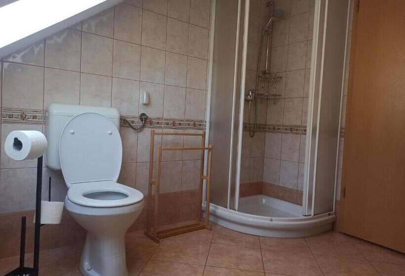 פנסיון Apartments Skok