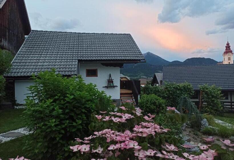 פנסיון Apartments Skok