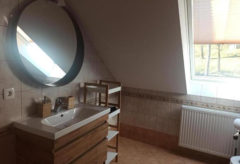 פנסיון Apartments Skok