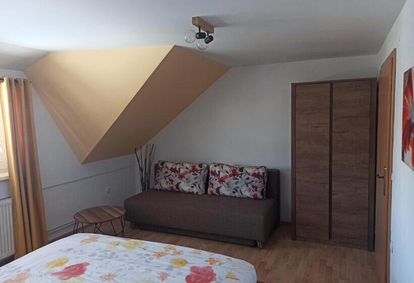 פנסיון Apartments Skok