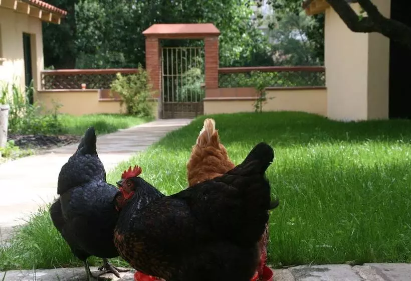 Majatalo B&b Sallent