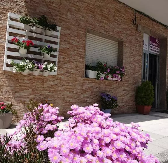 ペンション Navia