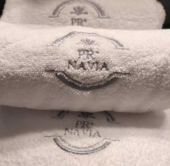 ペンション Navia