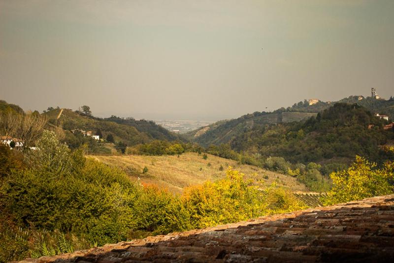 פנסיון La Vecchia Cantina