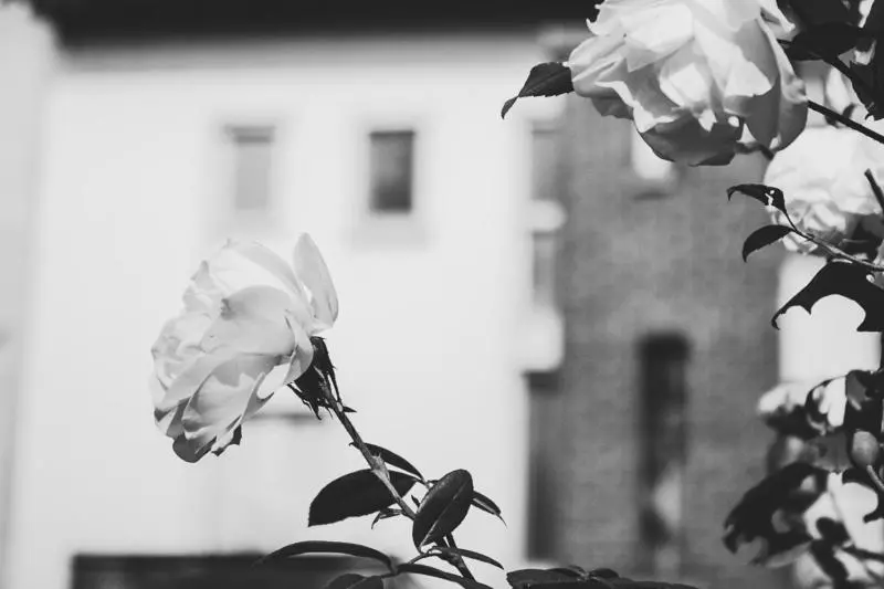 ペンション La Vecchia Cantina