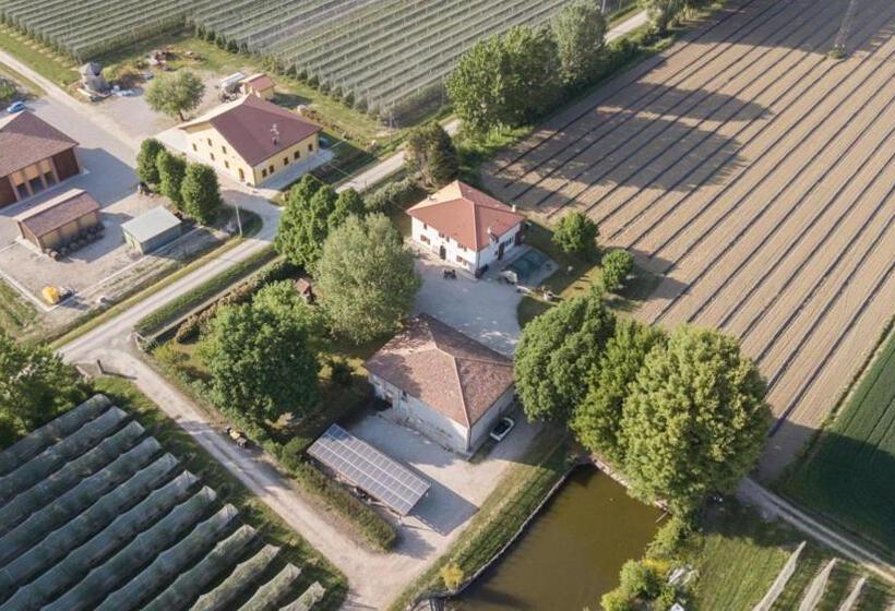 ホテル Agriturismo Il Bio Nonno