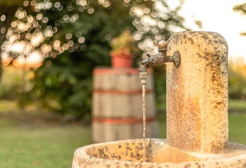 ホテル Agriturismo Il Bio Nonno