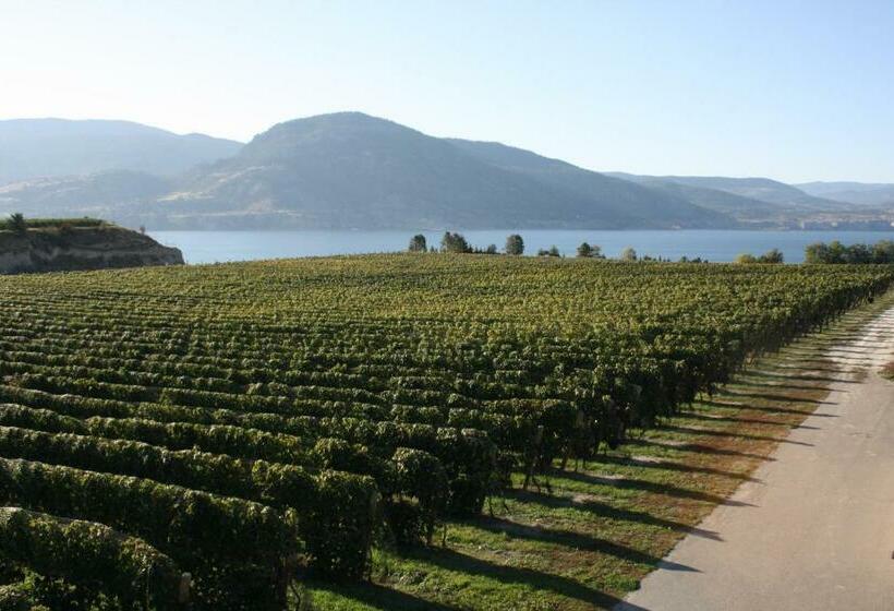 Pensionat D Angelo Winery Farm House