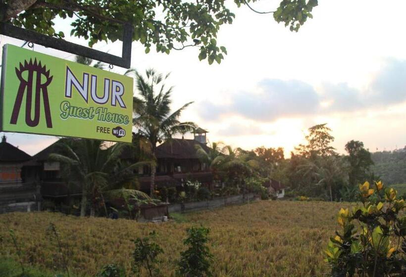 Pensión Nur Guest House By Purely