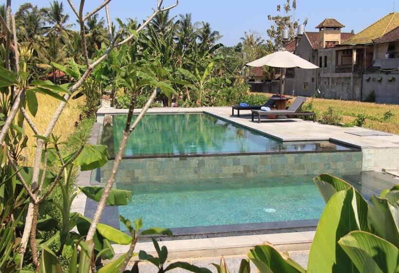 Pensión Nur Guest House By Purely