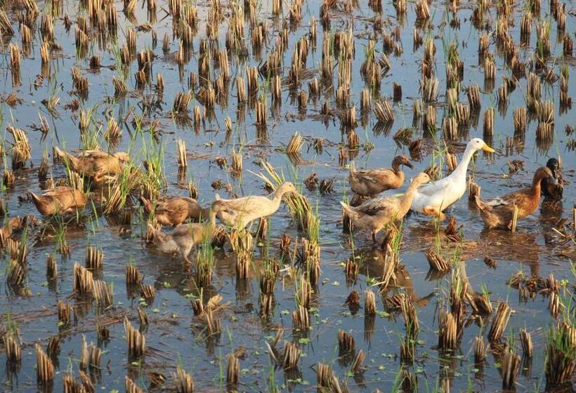 Pensión Nur Guest House By Purely