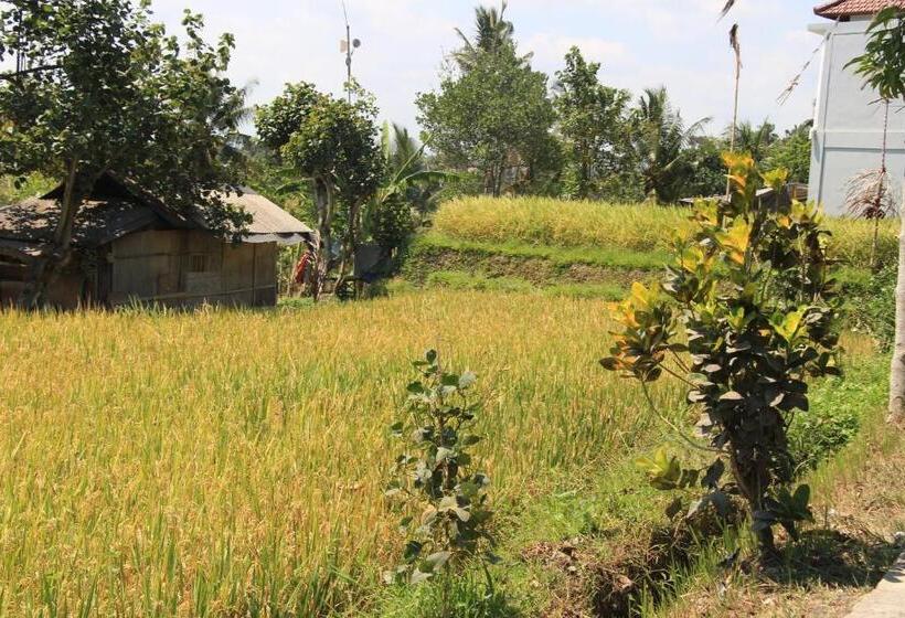 Pensión Nur Guest House By Purely