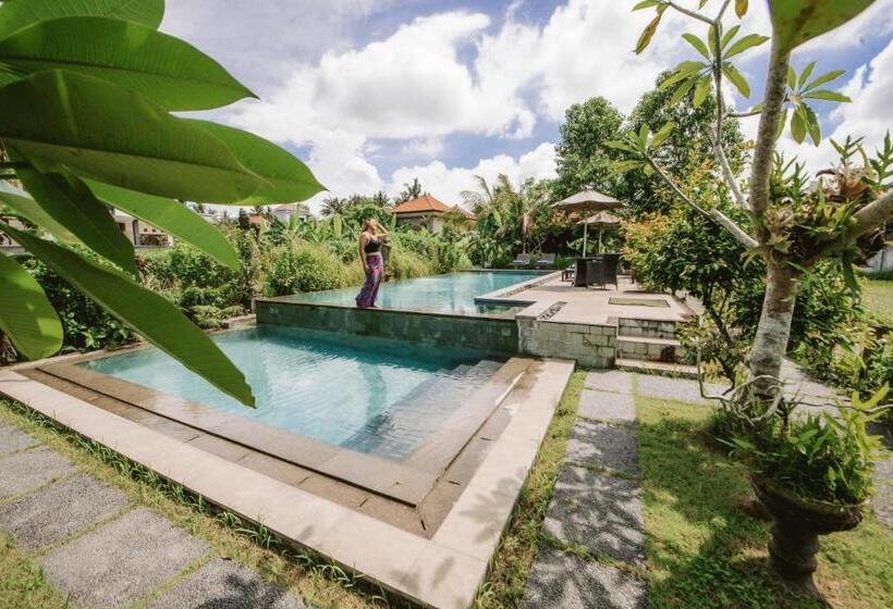 Pensión Nur Guest House By Purely