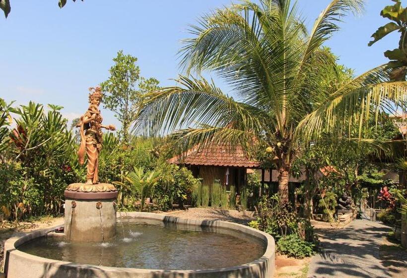 Pensión Nur Guest House By Purely