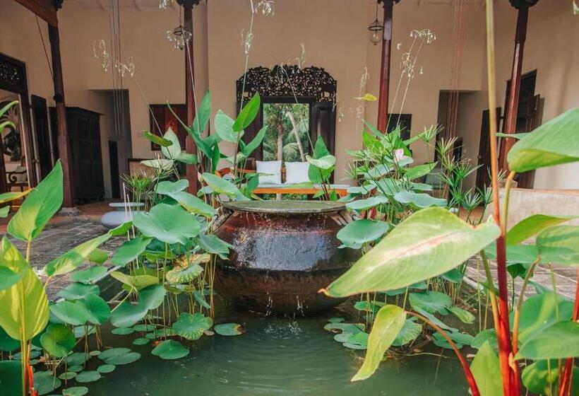 פנסיון Villa Karamoja