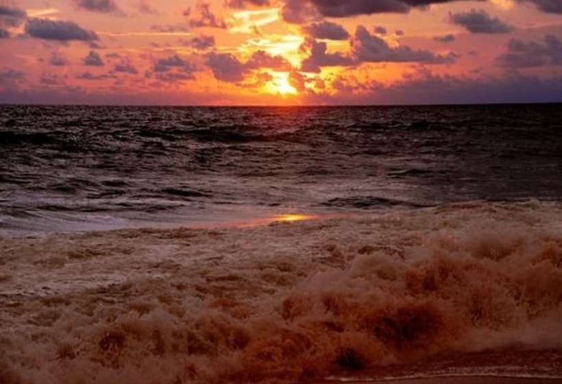 فندق صغير Arcade Beach