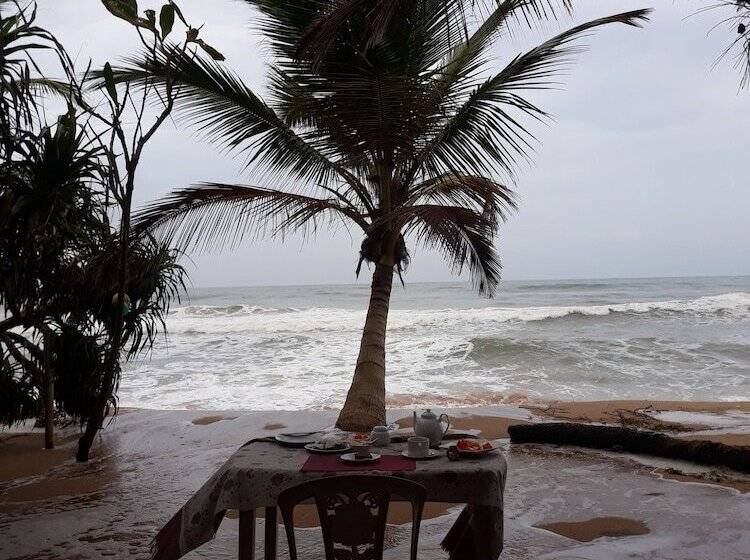 فندق صغير Arcade Beach