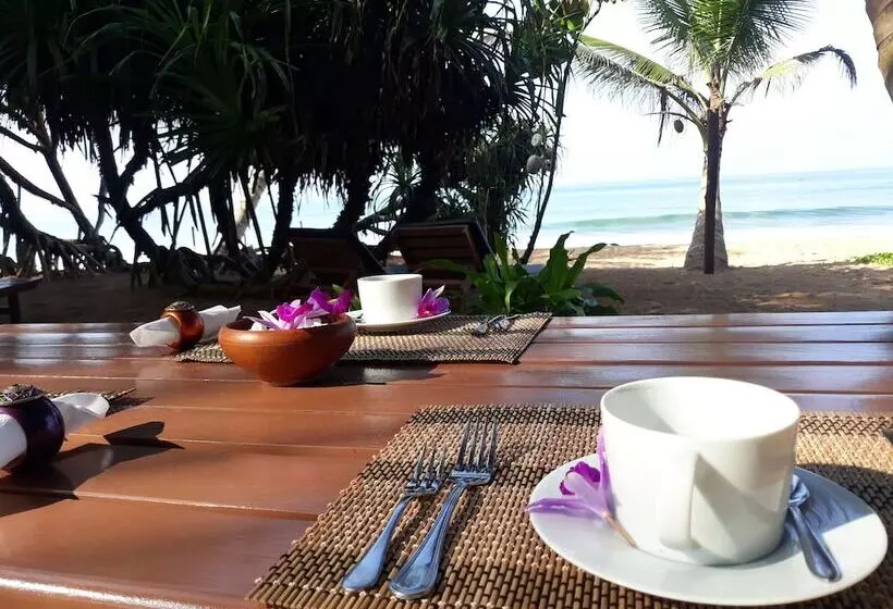 Auberge Arcade Beach
